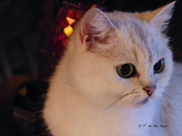 Jeux de lumières chaudes et froides